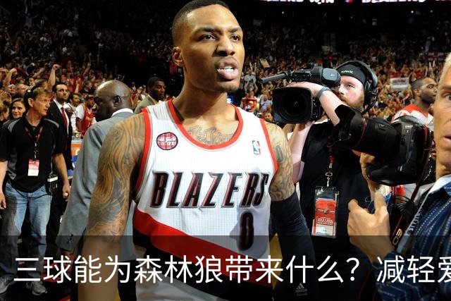 三球能为森林狼带来什么？减轻爱德华兹单打负担 麦丹能惩罚对手