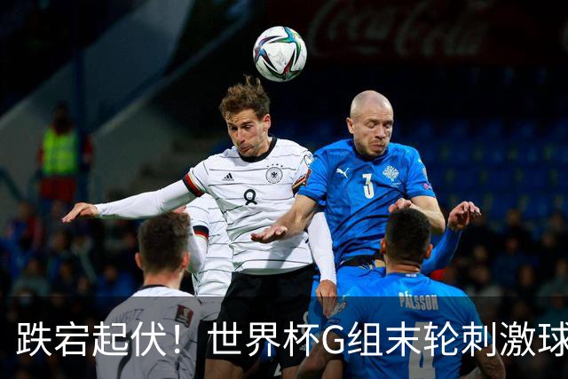 跌宕起伏！世界杯G组末轮刺激球迷心脏 伊朗狂喜过后遭打击